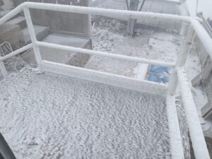 WhatsApp Image 2026-01-11 at 1.10.00 PM