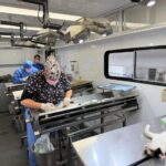 Por el bienestar animal, Ayuntamiento reactiva quirófano móvil para esterilizaciones