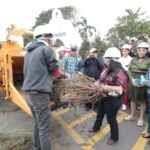 Arranca Eco Navidad 2026 para el reciclaje de pinos navideños