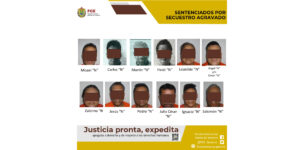 WhatsApp Image 2026-01-14 at 10.48.49