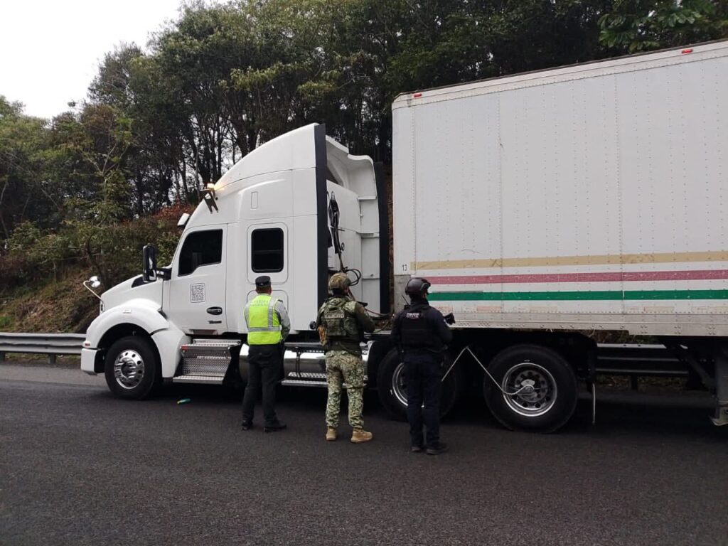 WhatsApp Image 2026-01-15 at 10.29.09