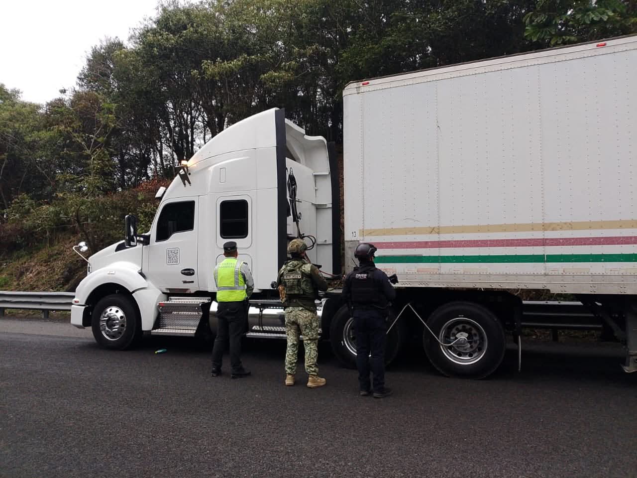 WhatsApp Image 2026-01-15 at 10.29.09