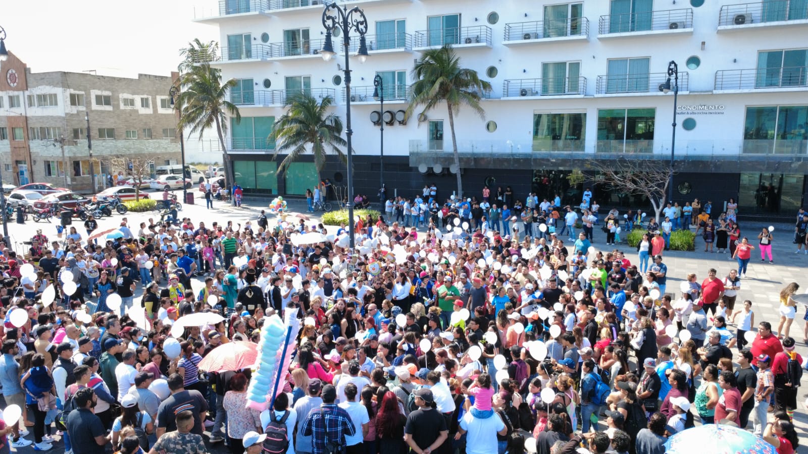 WhatsApp Image 2026-01-22 at 3.12.35 PM