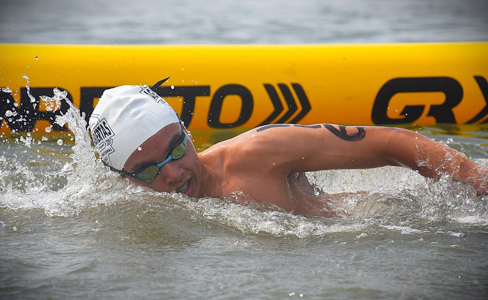 Albergará Veracruz tres selectivos nacionales de natación 2026 natación