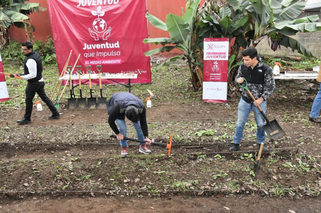 siembra de hortalizas