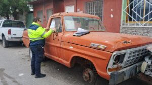 WhatsApp Image 2026-01-31 at 1.27.13 PM