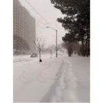 Tormenta invernal deja al menos 17 muertos en EU; reportan 800 mil cortes de energía en el país