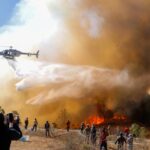 La prevención, clave para proteger los bosques de México ante el riesgo de incendios: Reforestamos México