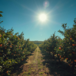 Rojo Vertical Noticias y Política Podcast Portada - 2026-02-24T195935.115