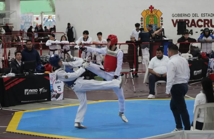 Taekwondo