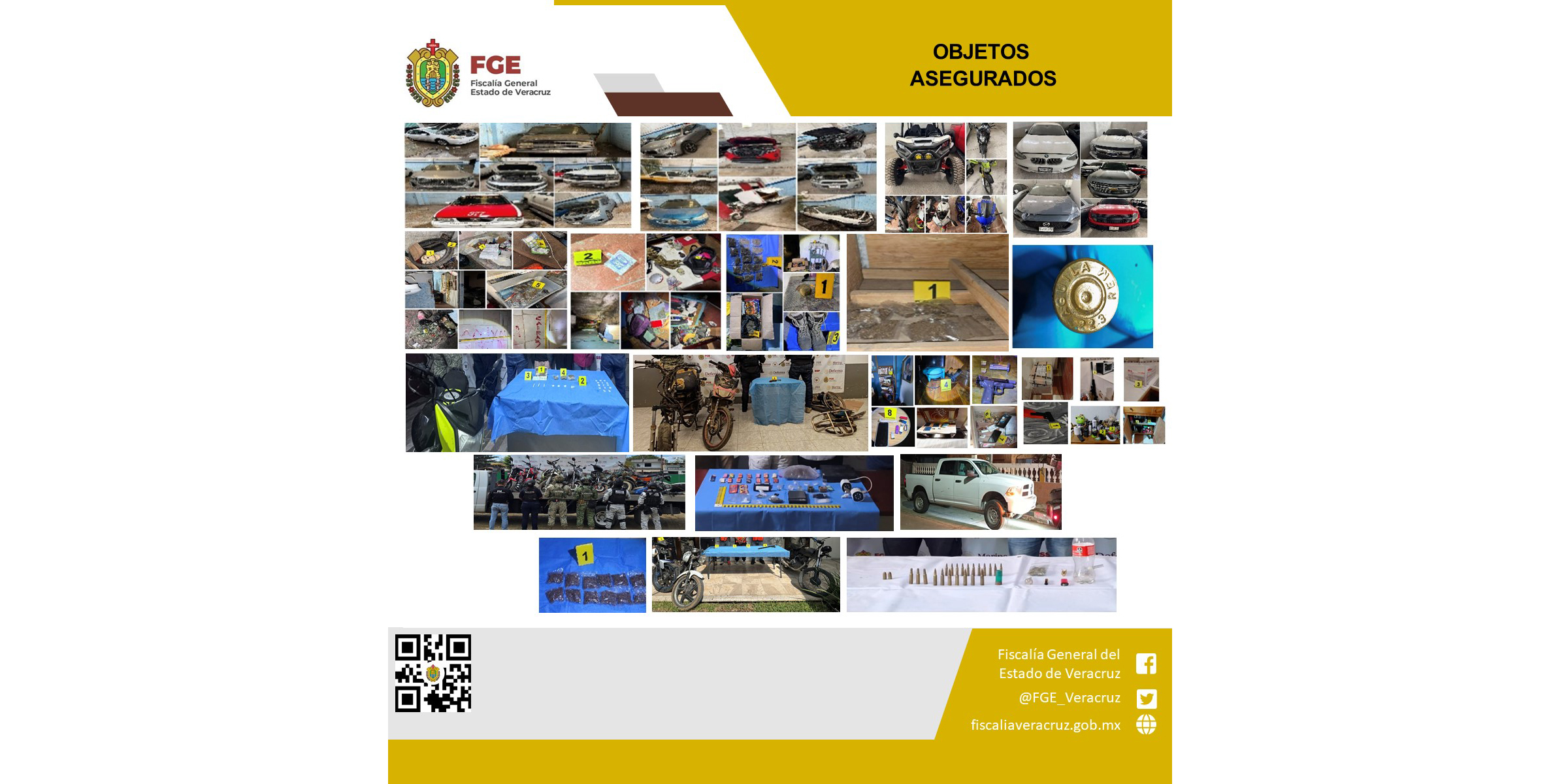 WhatsApp Image 2026-02-09 at 11.24.28