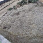 Detienen a dos sujetos por intento de sabotaje a ductos de gas: Cenagas WhatsApp Image 2026-02-22 at 5.02.22 PM