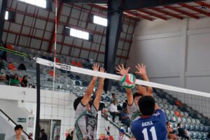voleibol