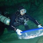 El INAH traslada fósiles humanos, recuperados en Quintana Roo, para estudios de antropología física