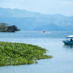 Biósfera de Los Tuxtlas enfrenta amenazas por tala clandestina y expansión ganadera: Conanp