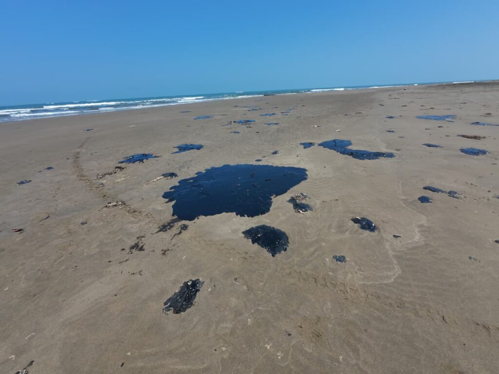 Perla del Golfo 15 marzo_3