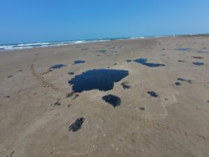 Perla del Golfo 15 marzo_3