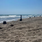 Las playas de La Mancha, en Actopan, libres de chapopote: David Díaz Romero