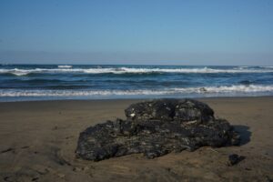 WhatsApp Image 2026-03-11 at 10.27.59 AM