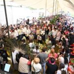 En Veracruz se fortalecen las raíces mexicanas: diputado Esteban Bautista