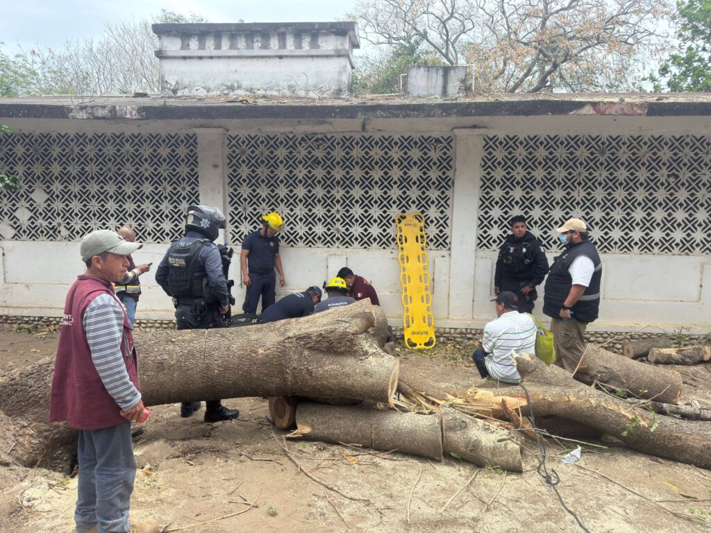 WhatsApp Image 2026-03-17 at 10.43.41 AM