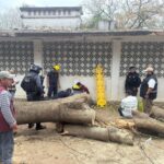 WhatsApp Image 2026-03-17 at 10.43.41 AM