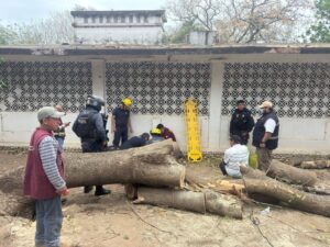 WhatsApp Image 2026-03-17 at 10.43.41 AM