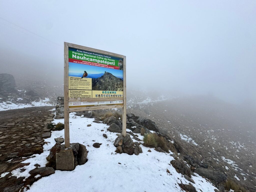 WhatsApp Image 2026-03-18 at 9.35.16 AM