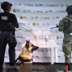 SSP detiene a 49 personas y decomisa 342 dosis de droga en 40 municipios