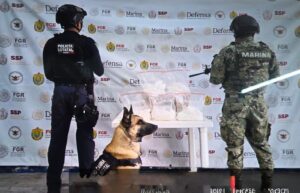 WhatsApp Image 2026-03-21 at 9.32.25 AM