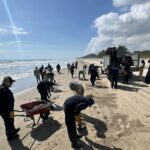 Grupo Interinstitucional despliega más de 2 mil 400 elementos coordinados para atender la presencia de hidrocarburos en costas de Veracruz y Tabasco