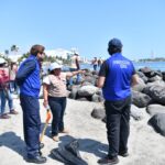 Limpian playa Mocambo, Sedema encabeza brigada