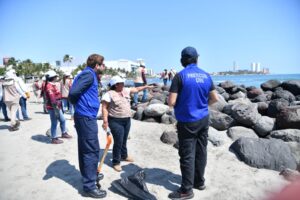 limpieza hidrocarburo