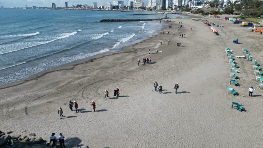 limpieza hidrocarburo