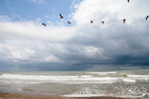 Playa Alvarado-vacaciones-turismo