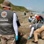 Atienden 3.5 kilómetros de litoral en Alvarado con brigadas de saneamiento