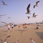 Familias destacan condiciones seguras y mar tranquilo en Veracruz–Boca del Río