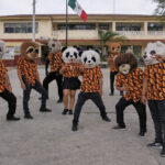 Llega el Carnaval Cardel 2026 con música y tradición del 23 al 26 de abril