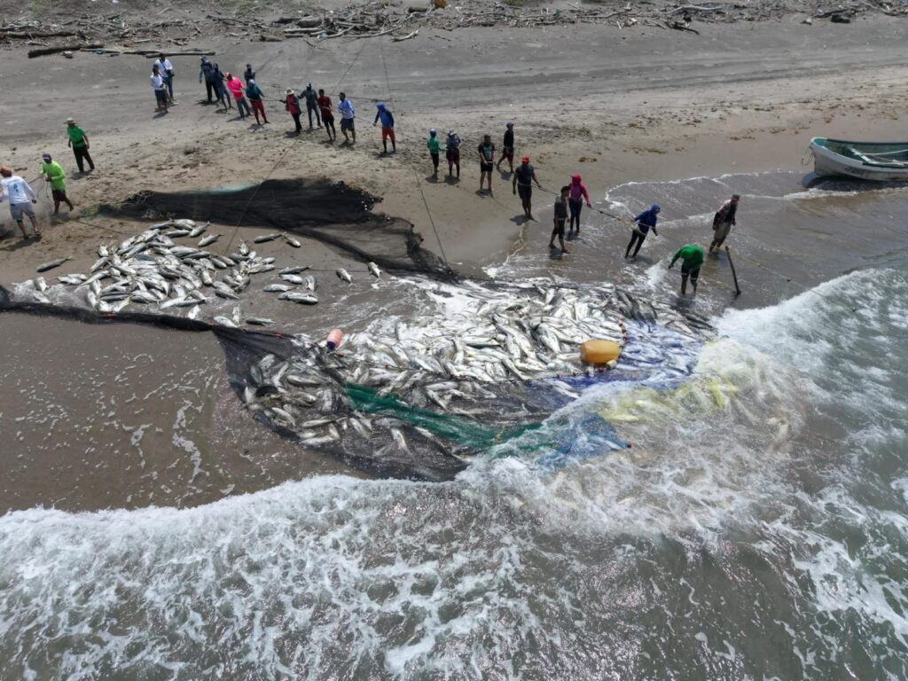 WhatsApp Image 2026-03-31 at 7.42.52 AM