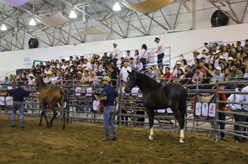 WhatsApp Image 2026-04-22 at 5.57.11 PM