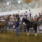 WhatsApp Image 2026-04-22 at 5.57.11 PM