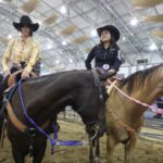 Veracruz, punto de reintroducción del caballo en América del Norte