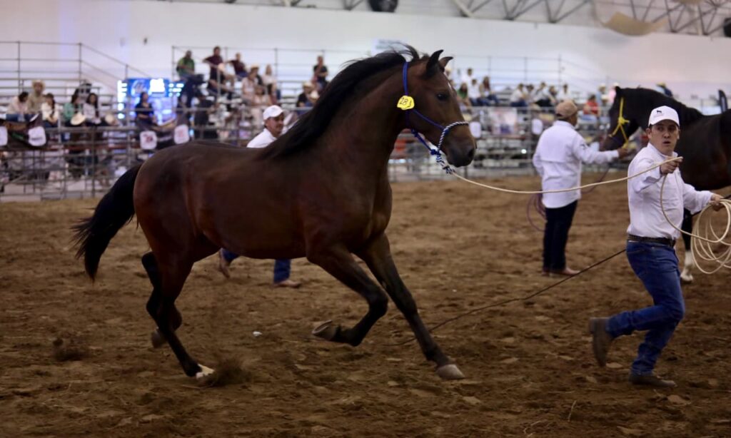 WhatsApp Image 2026-04-25 at 5.08.09 PM