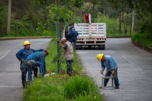 trabajos de iluminación