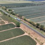 Compromiso cumplido: Rocío Nahle entrega primer tramo de Isla–Santiago Tuxtla