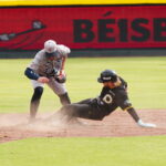 Tigres vs Pericos