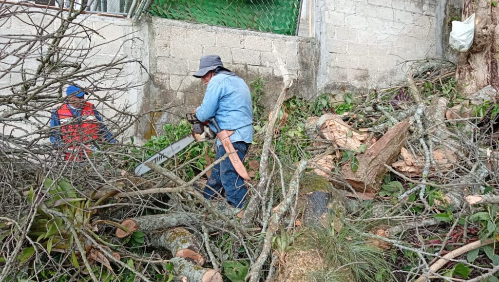 corte de árboles por lluvia
