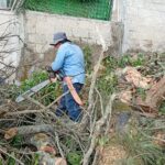 Atiende Ayuntamiento de Xalapa reportes de afectaciones por lluvias