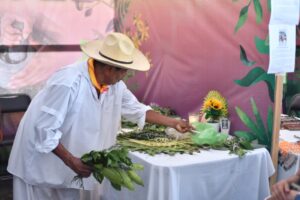 medicina tradicional