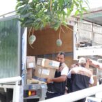 En Veracruz no hay emergencia sanitaria; medicamentos e insumos ya están en distribución: Gobernadora